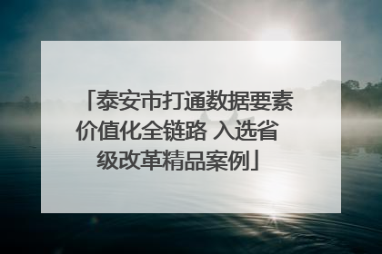 泰安市打通数据要素价值化全链路 入选省级改革精品案例