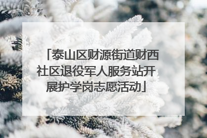 泰山区财源街道财西社区退役军人服务站开展护学岗志愿活动