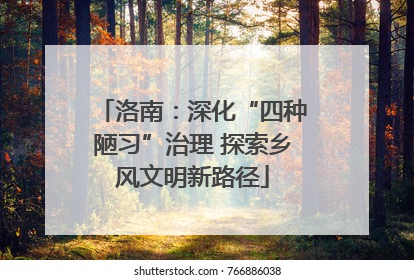 洛南：深化“四种陋习”治理 探索乡风文明新路径