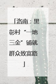 洛南：黑彰村“一地三金”铺就群众致富路