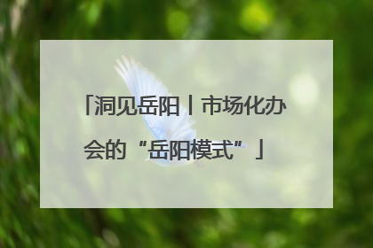洞见岳阳丨市场化办会的“岳阳模式”