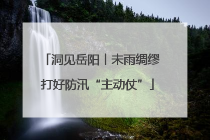 洞见岳阳丨未雨绸缪 打好防汛“主动仗”