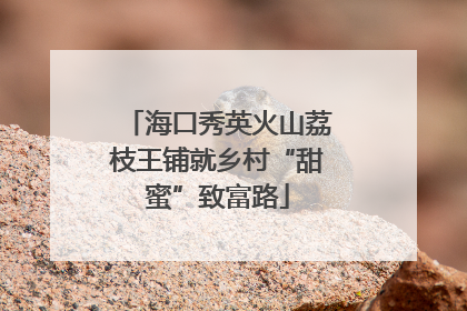 海口秀英火山荔枝王铺就乡村“甜蜜”致富路