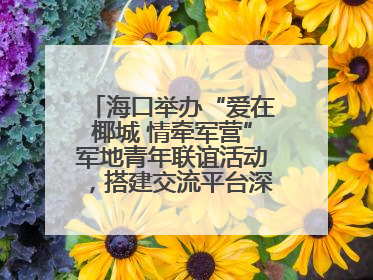 海口举办“爱在椰城 情牵军营”军地青年联谊活动，搭建交流平台深化双拥工作