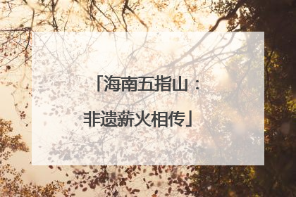 海南五指山：非遗薪火相传
