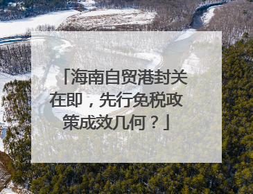 海南自贸港封关在即，先行免税政策成效几何？