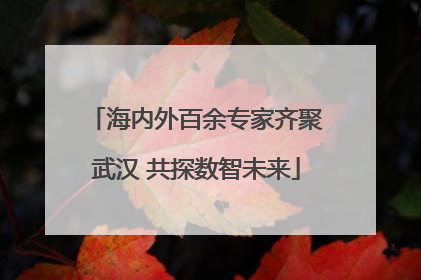 海内外百余专家齐聚武汉 共探数智未来
