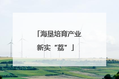 海垦培育产业新实“荔”