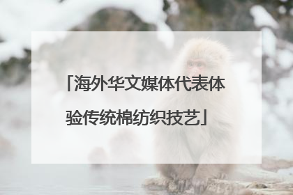 海外华文媒体代表体验传统棉纺织技艺