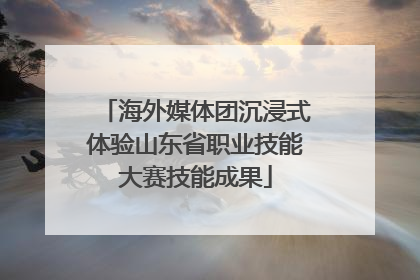 海外媒体团沉浸式体验山东省职业技能大赛技能成果