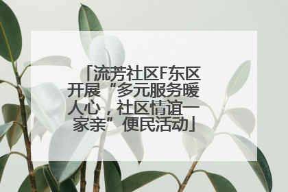 流芳社区F东区开展“多元服务暖人心，社区情谊一家亲”便民活动
