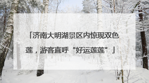 济南大明湖景区内惊现双色莲，游客直呼“好运莲莲”