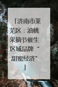 济南市莱芜区：油桃采摘节催生区域品牌“甜蜜经济”