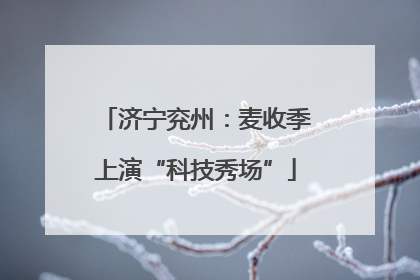 济宁兖州：麦收季上演“科技秀场”