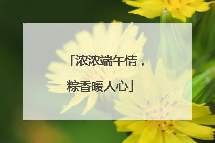 浓浓端午情，粽香暖人心