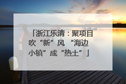浙江乐清：聚项目吹“新”风 “海边小镇”成“热土”