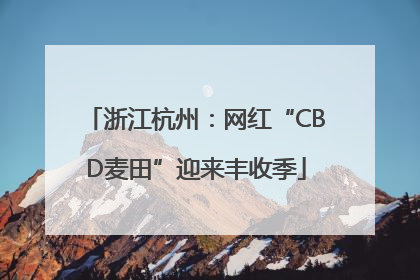 浙江杭州：网红“CBD麦田”迎来丰收季