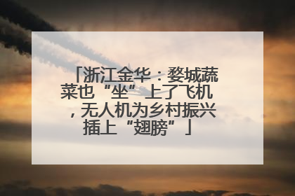 浙江金华：婺城蔬菜也“坐”上了飞机，无人机为乡村振兴插上“翅膀”