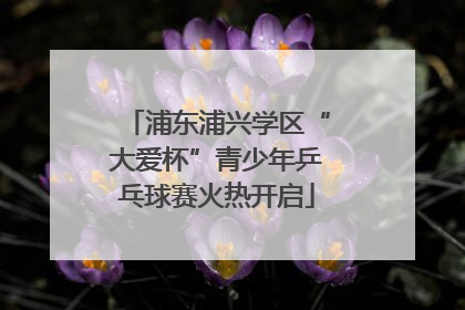 浦东浦兴学区“大爱杯”青少年乒乓球赛火热开启