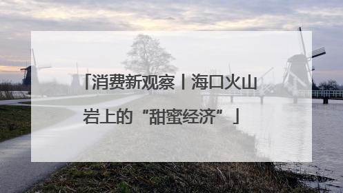 消费新观察丨海口火山岩上的“甜蜜经济”
