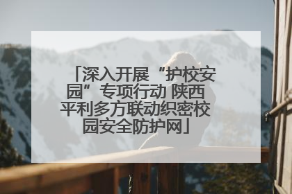 深入开展“护校安园”专项行动 陕西平利多方联动织密校园安全防护网