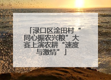 渌口区淦田村“同心振农兴粮”大赛上演农耕“速度与激情”