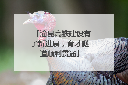 渝昆高铁建设有了新进展，育才隧道顺利贯通