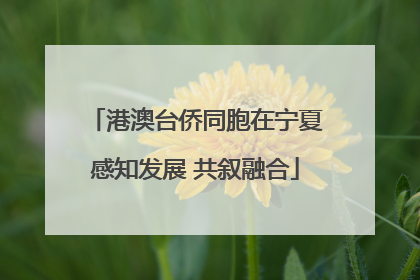 港澳台侨同胞在宁夏感知发展 共叙融合