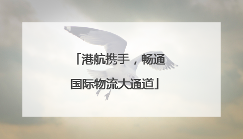 港航携手，畅通国际物流大通道