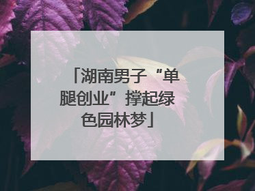 湖南男子“单腿创业”撑起绿色园林梦