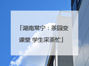 湖南常宁：茶园变课堂 学生采茶忙