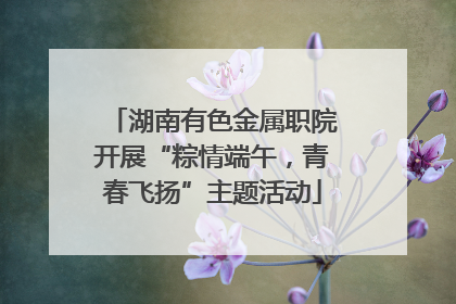湖南有色金属职院开展“粽情端午，青春飞扬”主题活动
