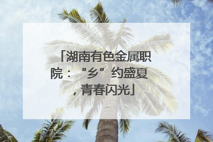 湖南有色金属职院：“乡”约盛夏，青春闪光
