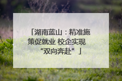 湖南蓝山：精准施策促就业 校企实现“双向奔赴”