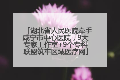 湖北省人民医院牵手咸宁市中心医院，9大专家工作室+9个专科联盟筑牢区域医疗网