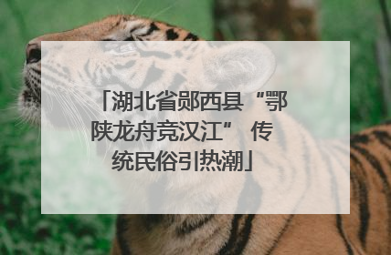 湖北省郧西县“鄂陕龙舟竞汉江” 传统民俗引热潮