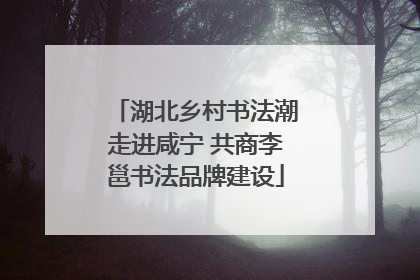 湖北乡村书法潮走进咸宁 共商李邕书法品牌建设