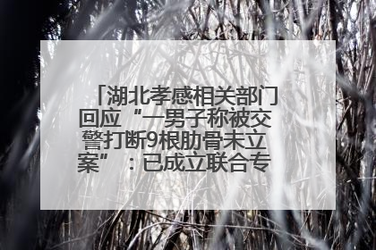 湖北孝感相关部门回应“一男子称被交警打断9根肋骨未立案”：已成立联合专班开展工作