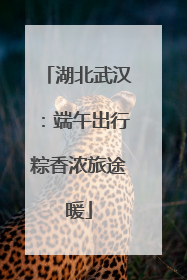 湖北武汉：端午出行粽香浓旅途暖