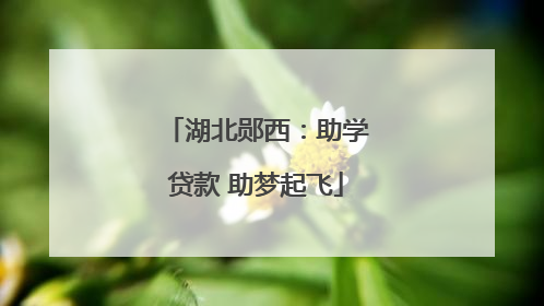 湖北郧西：助学贷款 助梦起飞