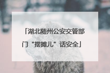 湖北随州公安交管部门“摆摊儿”话安全