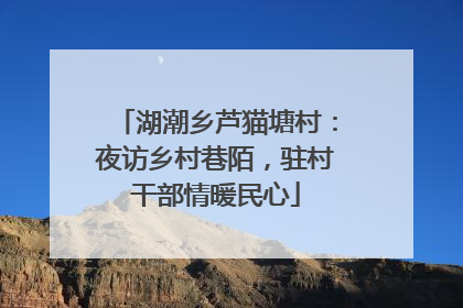 湖潮乡芦猫塘村：夜访乡村巷陌，驻村干部情暖民心