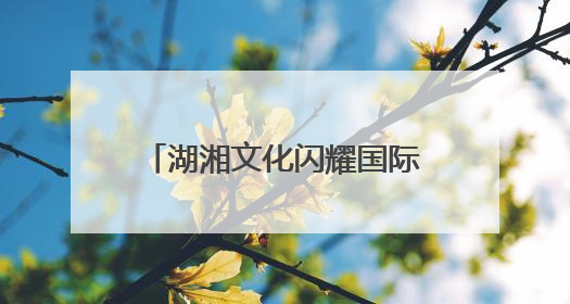 湖湘文化闪耀国际舞台 爱晚亭红色文化交流中心亮相中非经贸博览会