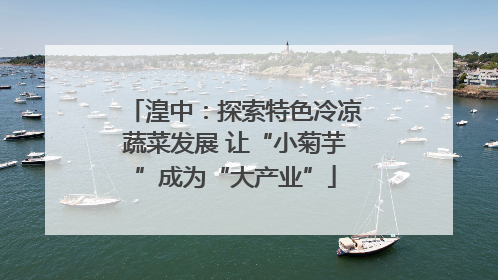 湟中：探索特色冷凉蔬菜发展 让“小菊芋”成为“大产业”