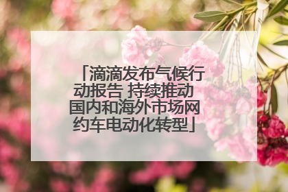 滴滴发布气候行动报告 持续推动国内和海外市场网约车电动化转型