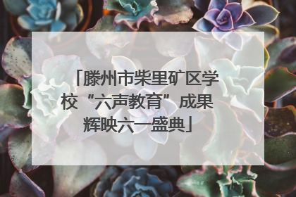 滕州市柴里矿区学校“六声教育”成果辉映六一盛典