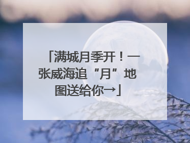 满城月季开！一张威海追“月”地图送给你→