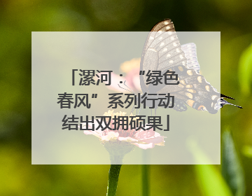 漯河：“绿色春风”系列行动结出双拥硕果