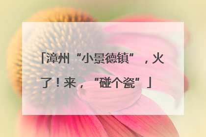 漳州“小景德镇”，火了！来，“碰个瓷”