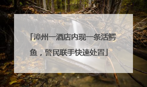 漳州一酒店内现一条活鳄鱼，警民联手快速处置